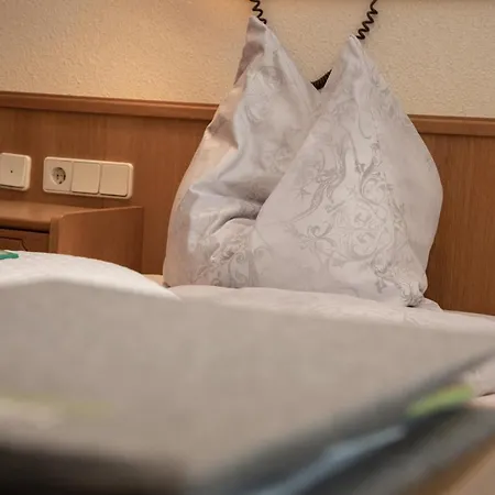 招待所 罗斯平特霍夫酒店 恩斯塔尔豪斯