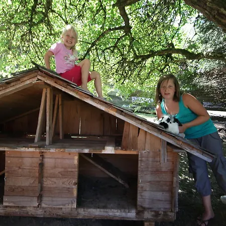 招待所 罗斯平特霍夫酒店 3*