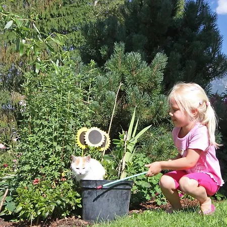 Rosspointnerhof Haus im Ennstal
