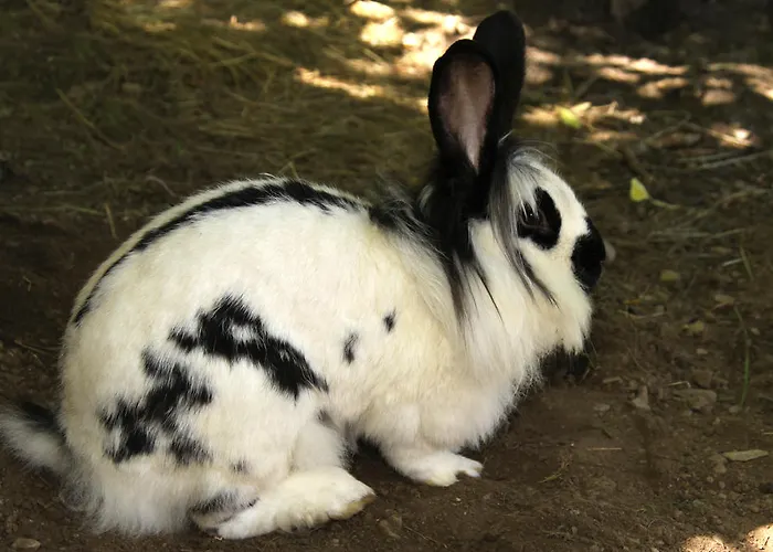 بيت ضيافة Rosspointnerhof